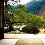 Musique Zen