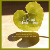Living Meditation - Guided Meditations With David Harshada Wagner