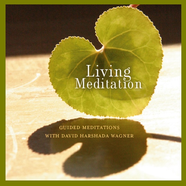 Living Meditation - Guided Meditations With David Harshada Wagner