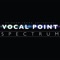 Set Fire to the Rain - BYU Vocal Point lyrics
