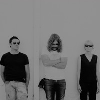 Spiderbait