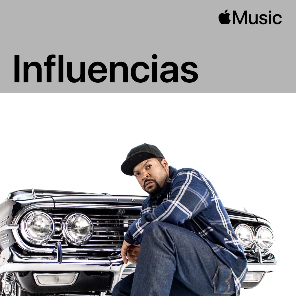 Ice Cube: influencias
