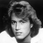 Andy Gibb