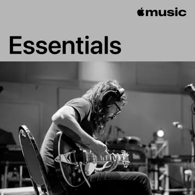 Hör dir Dave Grohl Essentials mit Foo Fighters an