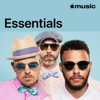 Beginner Essentials
