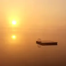 Relaxingを聴いたり、ミュージックビデオを鑑賞したり、経歴やツアー日程などを確認したりしましょう！