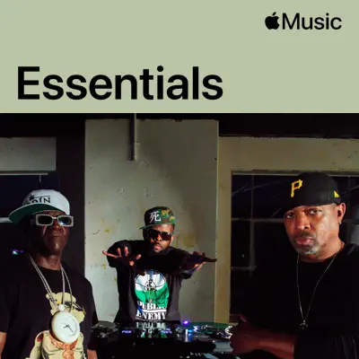 Posłuchaj Public Enemy Essentials z udziałem Public Enemy