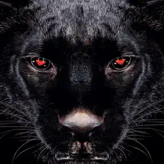 Listen to Assassin, watch music videos, read bio, see tour dates & more!