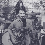 Thieving Birds