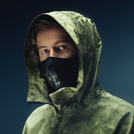 Alan Walker artwork