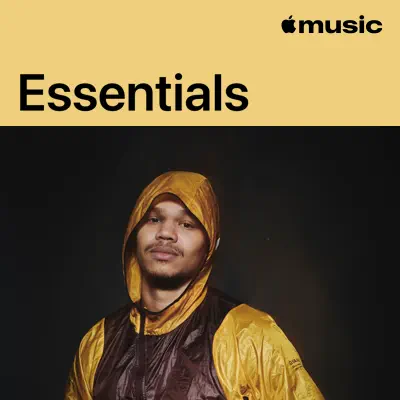 Listen to Lamin Essentials featuring Lamin