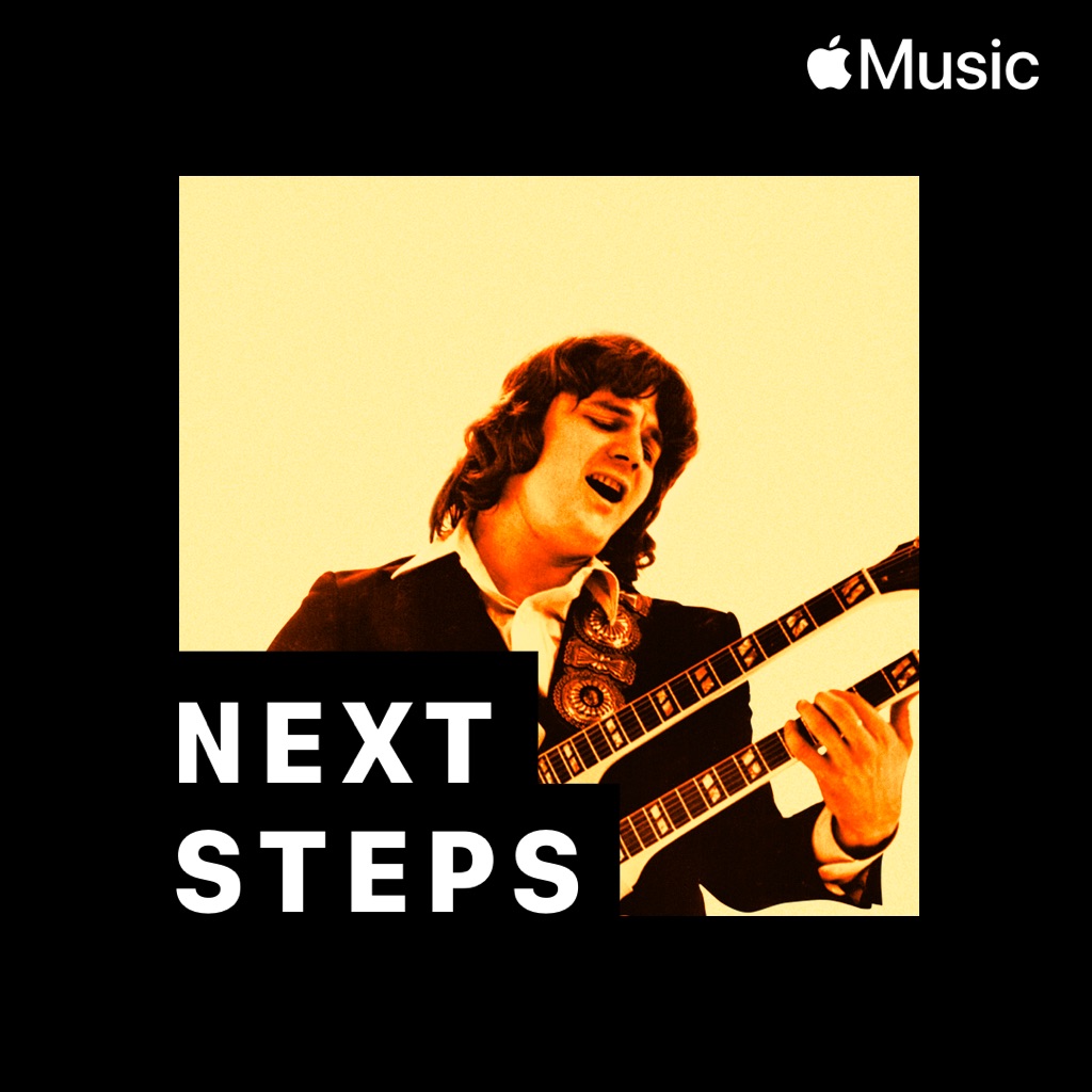 Steve Miller Band: Next Steps