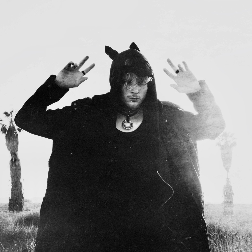 Фото Crywolf