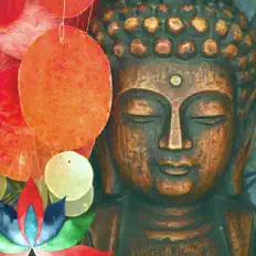Listen to Buddha Comfortable, watch music videos, read bio, see tour dates & more!