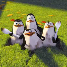 Ascolta Die Pinguine aus Madagascar, guarda video musicali, leggi la biografia, vedi le date del tour & altro!