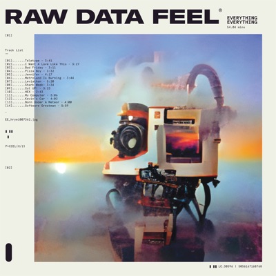 Everything Everything Raw Data Feel new album 2022