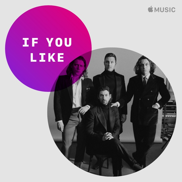 If You Like... Arctic Monkeys