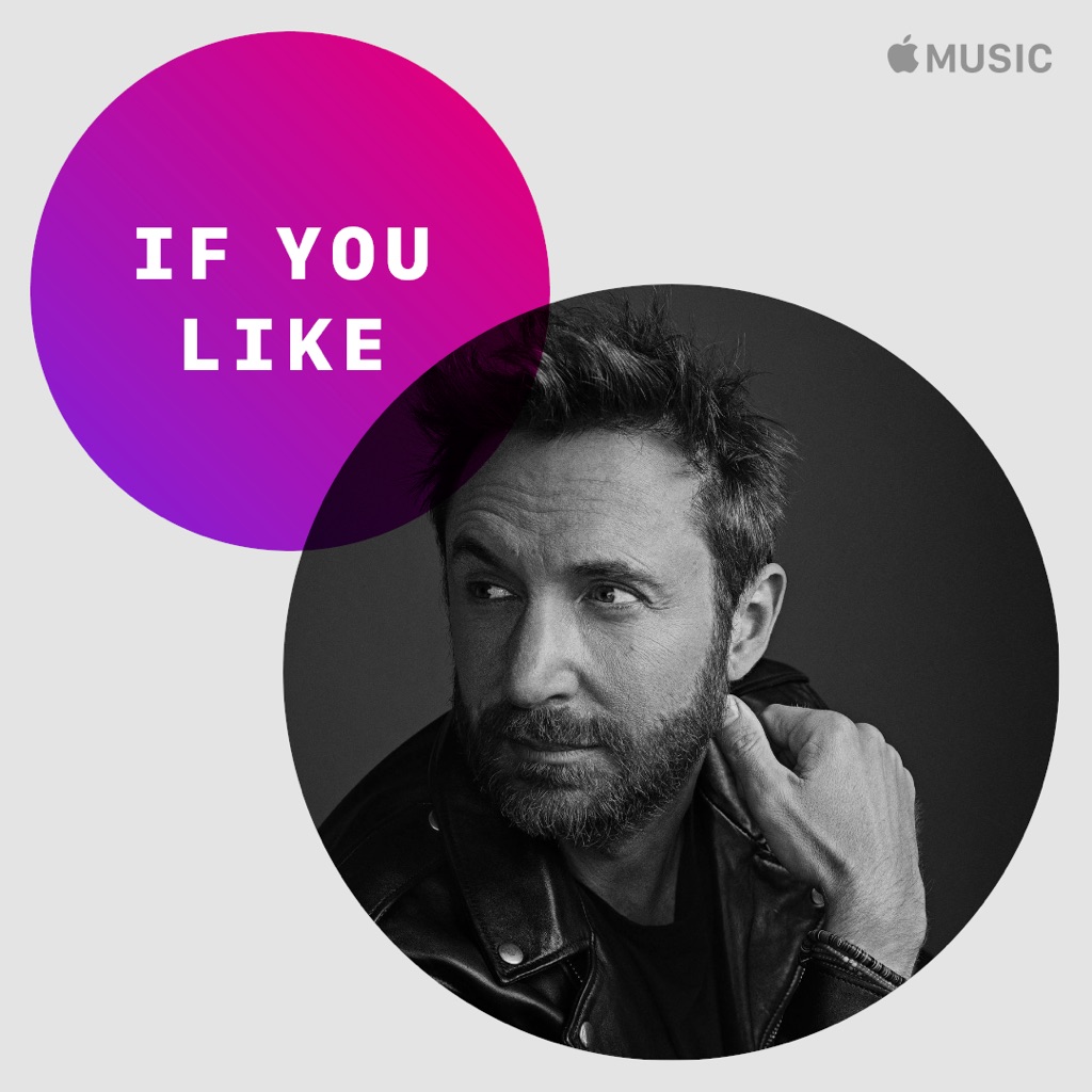If You Like... David Guetta