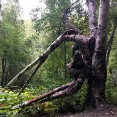 聆聽 Paper Latte、觀看音樂影片、閱讀小傳、查看巡演日期等！