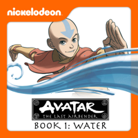 Chapter 8: Winter Solstice, Pt. 2: Avatar Roku - Avatar: The Last Airbender Cover Art