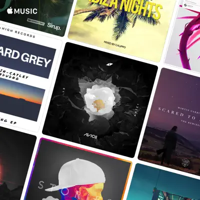 Richard Grey adlı sanatçının yer aldığı Welcome 2018 with Avicii çalma listesini dinle