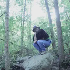 Sedcairnを聴いたり、ミュージックビデオを鑑賞したり、経歴やツアー日程などを確認したりしましょう！