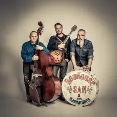 Doghouse Sam & His Magnatones: песни, клипы, биография, даты выступлений и многое другое.