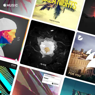 Richard Grey adlı sanatçının yer aldığı Avicii's One Mix Playlist çalma listesini dinle