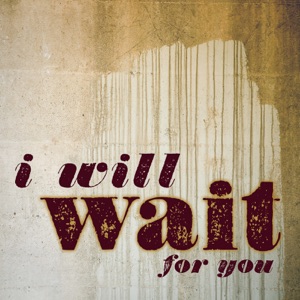 I Will Wait For You (Mumford & Sons Covers) - Single