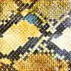 The Amazing Snakeheads - Here It Comes Again