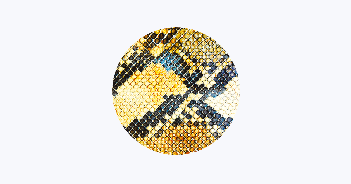 ‎The Amazing Snakeheads - Apple Music