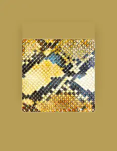 The Amazing Snakeheadsを聴いたり、ミュージックビデオを鑑賞したり、経歴やツアー日程などを確認したりしましょう！