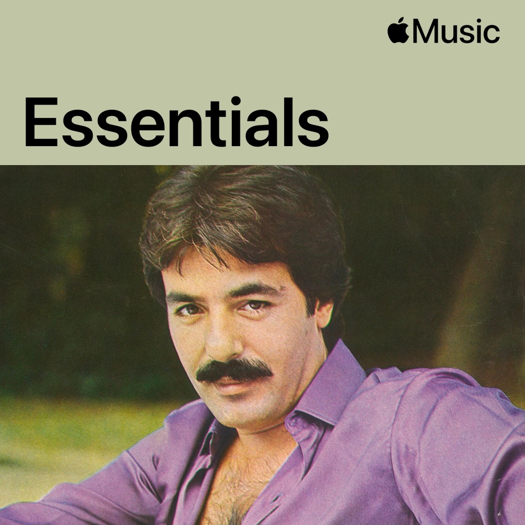 Ferdi Tayfur Essentials