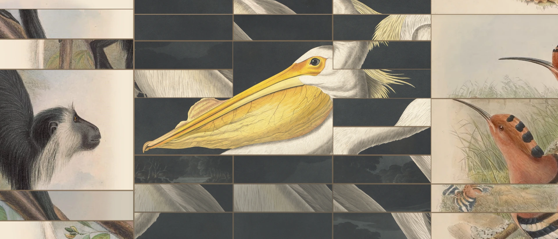 Art of Fauna: Cozy Puzzles product page header