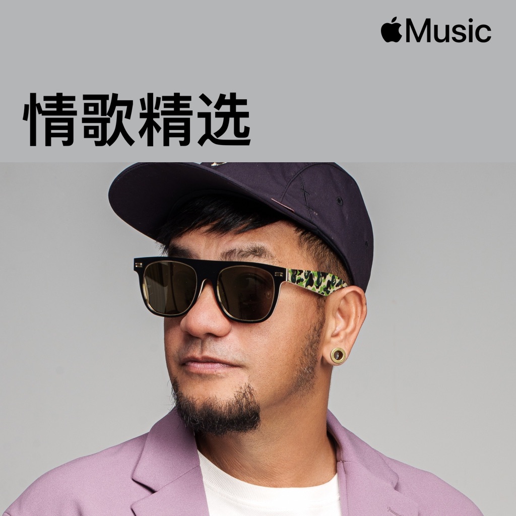 张震岳：情歌精选