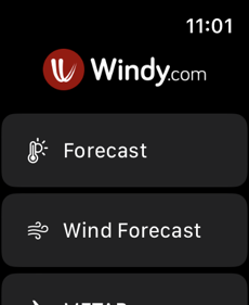 Windy.com Screenshot