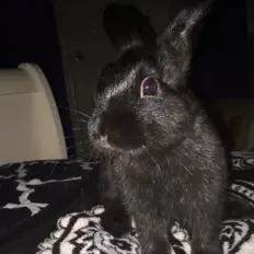 naryne सुनें, म्यूज़िक वीडियो देखें, बायो पढ़ें, दौरे की तारीखें और बहुत कुछ देखें!