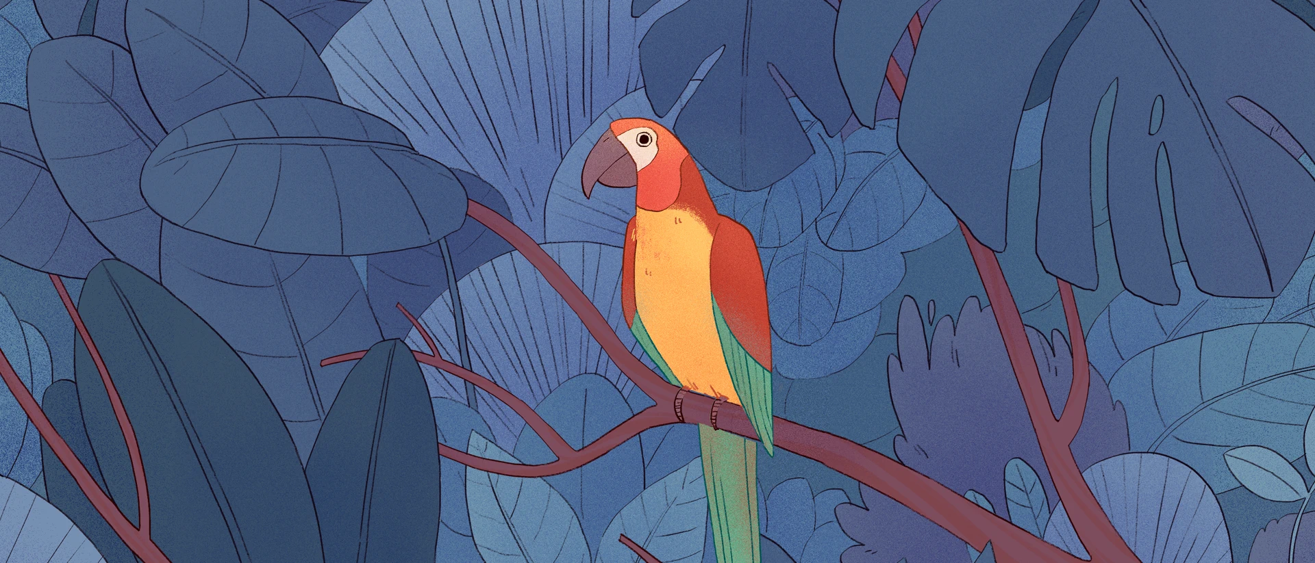 Bird Alone product page header