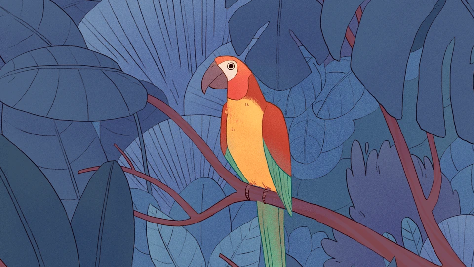 Bird Alone App Store product page header
