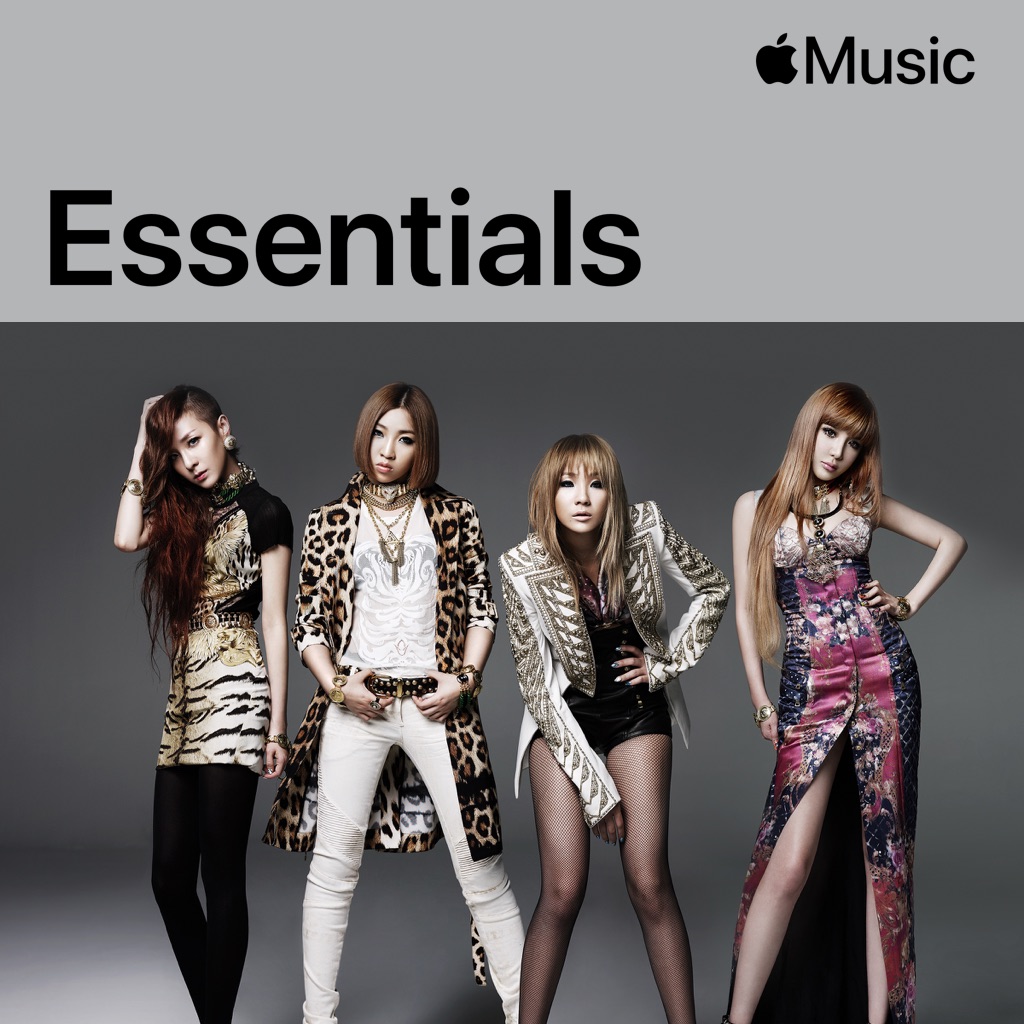 はじめての 2NE1