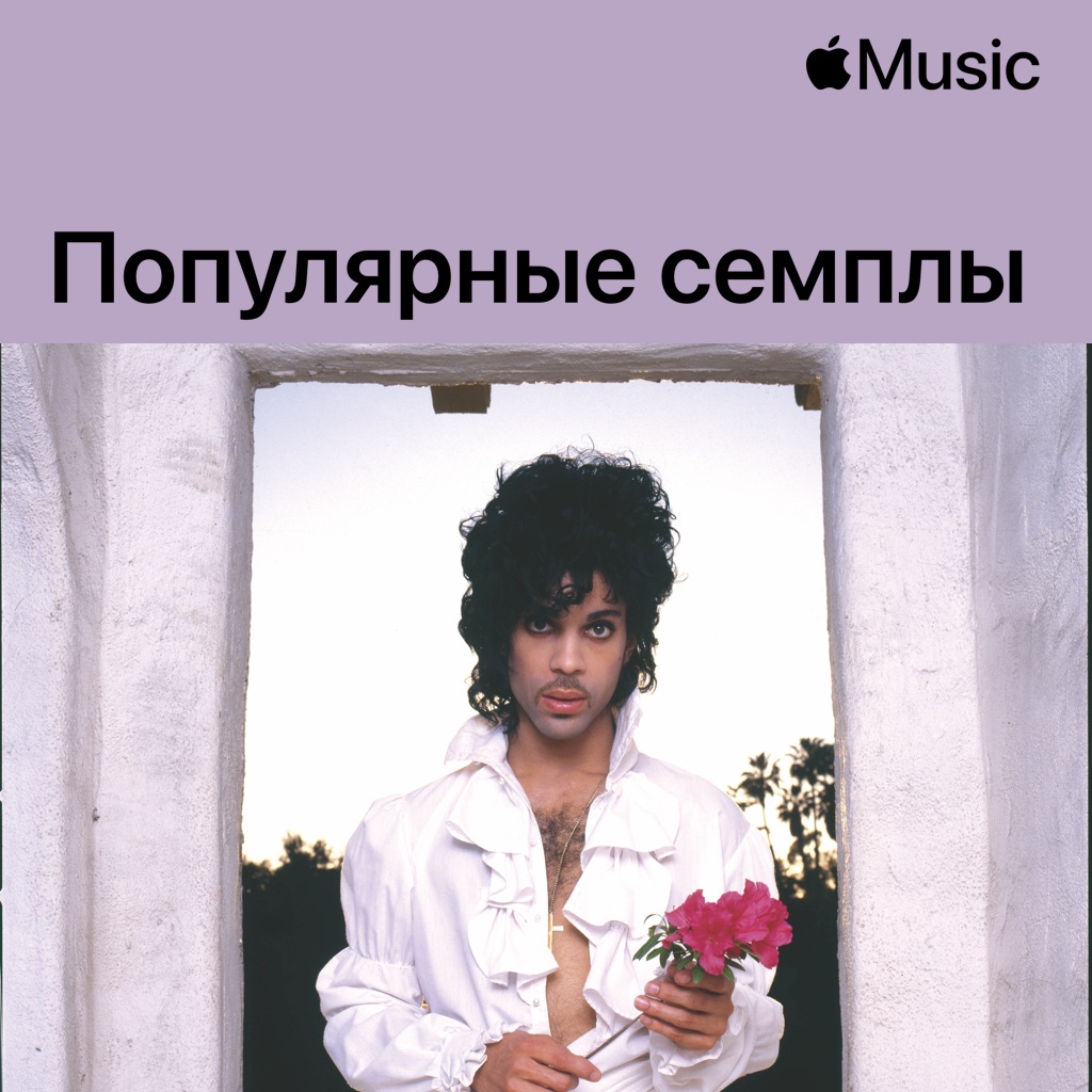 Prince: популярные семплы