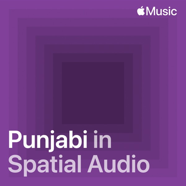 Punjabi in Spatial Audio