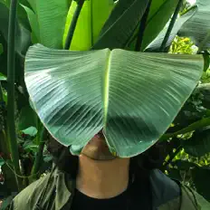 CHEOM-JI PARKを聴いたり、ミュージックビデオを鑑賞したり、経歴やツアー日程などを確認したりしましょう！