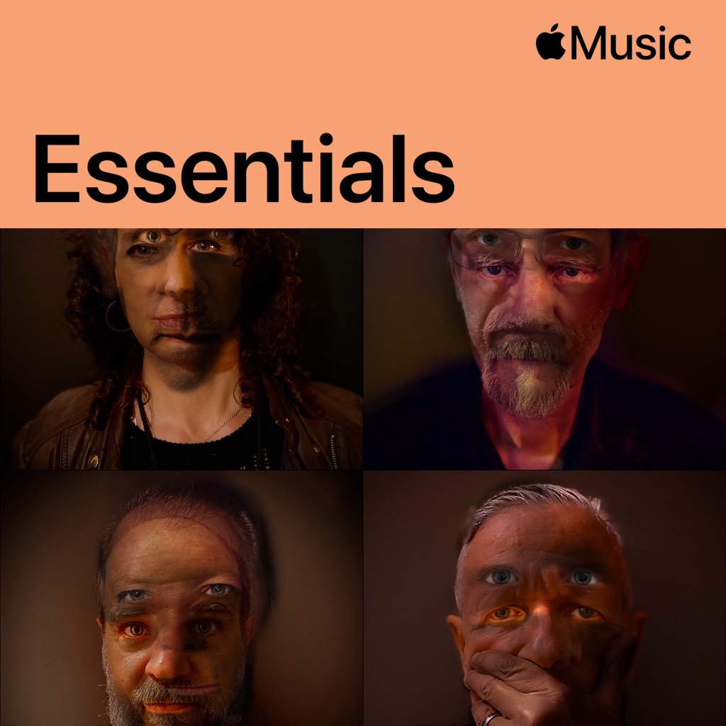Swans essentials