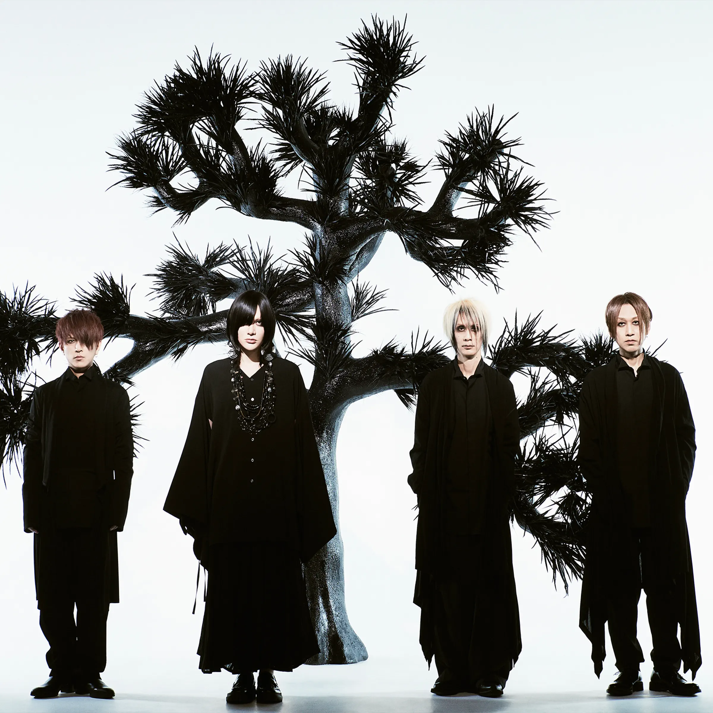 Plastic tree concert - 江東区, Zepp DiverCity