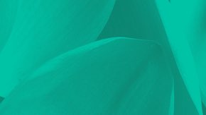 ウェルビーイング