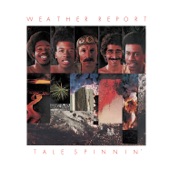 Weather Report - Five Short Stories