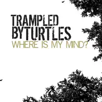 Trampled by Turtles — Where Is My Mind