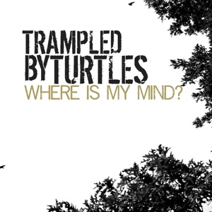 Chord Gitar Where Is My Mind - Trampled By Turtles
