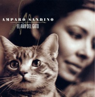 El Año del Gato - Amparo Sandino